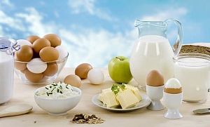 Упаковка для фермеров: молочные продукты и яйца